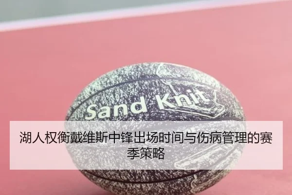 湖人权衡戴维斯中锋出场时间与伤病管理的赛季策略