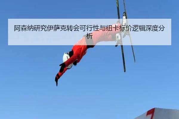 阿森纳研究伊萨克转会可行性与纽卡标价逻辑深度分析