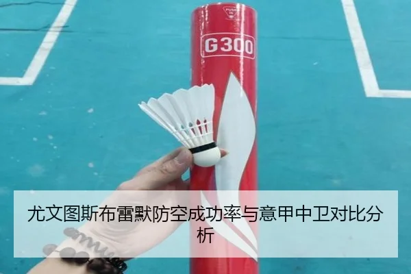 尤文图斯布雷默防空成功率与意甲中卫对比分析